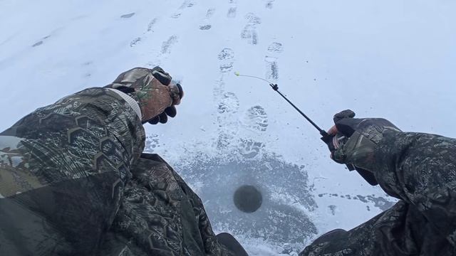 Ловим рыбу на вдхр. Каменка. Рыбалка в Луганске и области. Плотва и окунь на мотыля. смотреть онлайн