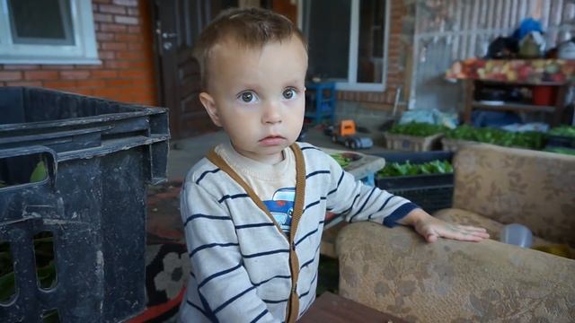 9 июня 2016 / вяжем / соус из IKEA / детки помогают / родня / красная смородина / Хуторянка смотреть онлайн