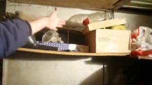 Как завести скутер Stels Skif 50 без ключа и без проблем.