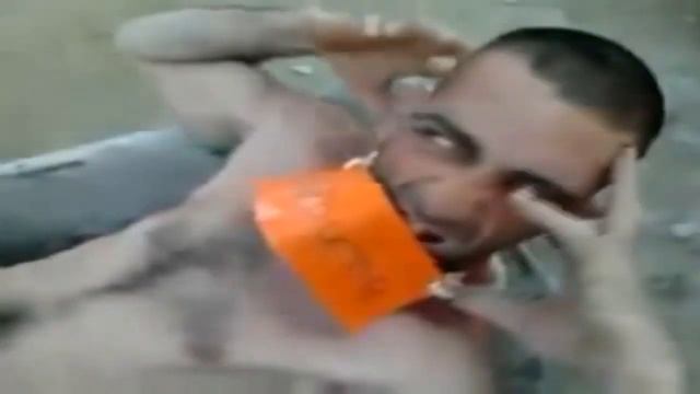 osito gominola versión castilla-la mancha смотреть онлайн