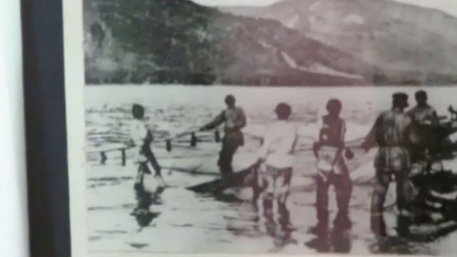 КРАСНАЯ РЫБА В ЖИЗНИ НАШЕГО ГОРОДА смотреть онлайн