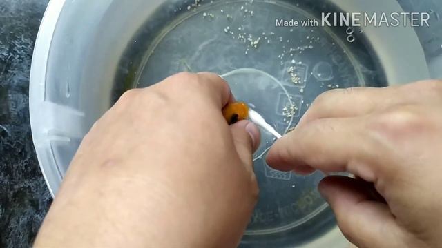 африка редред 20 та боласини олдим👍👍👍👍👍 смотреть онлайн