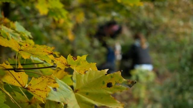 «Чистые игры» - Осенний кубок чистоты (3 октября, г.Мценск). смотреть онлайн