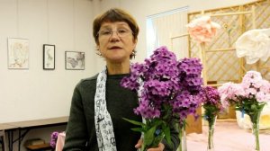 Флоксы: о старых и новых сортах