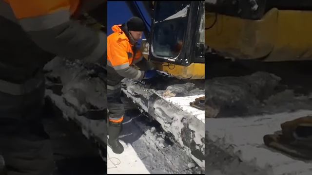 "Блажен, иже и скоты милует» (Притч. 12, 10).(2) смотреть онлайн