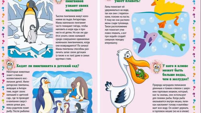 Презентация "Отчего и почему ?" смотреть онлайн