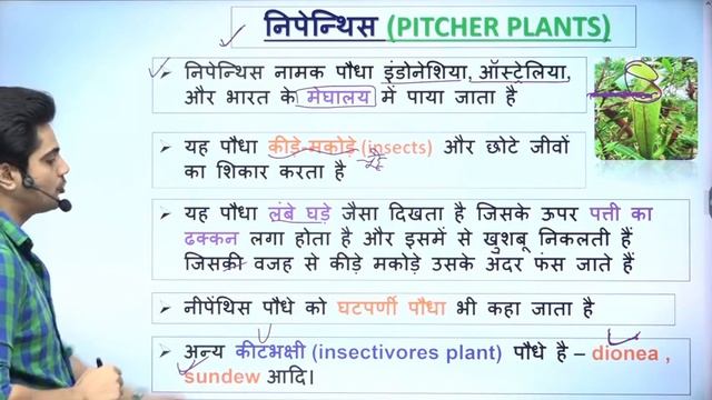 CTET EVS NCERT Complete Marathon by Sachin choudhary live 8pm смотреть онлайн