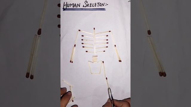 Human skeleton made from matches смотреть онлайн
