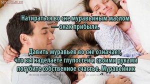 К чему снятся Муравьи сонник, толкование сна