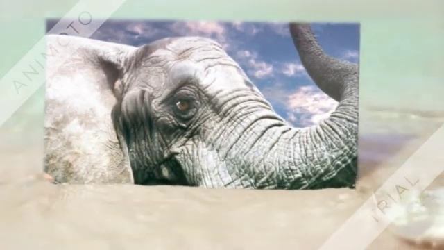 МАНТРА УСПЕШНОГО БРАКА ПО ВЕЛИКОЙ ЛЮБВИ смотреть онлайн