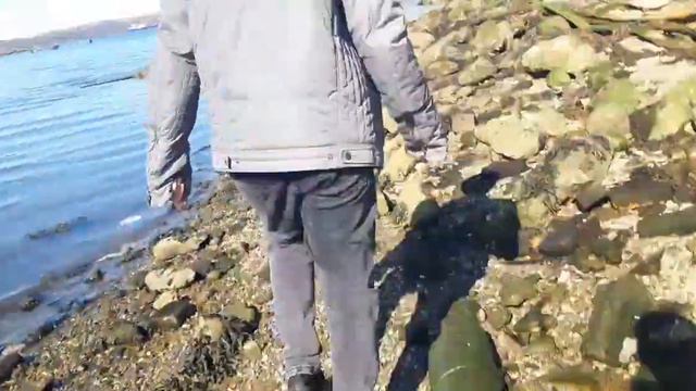 Североморск. Примерно с 5 минуты до 6 будет смешно) смотреть онлайн