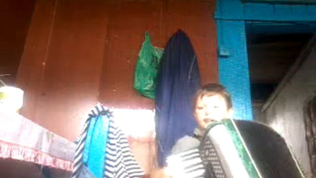 Аккордеон "Когда б имел златые горы" смотреть онлайн