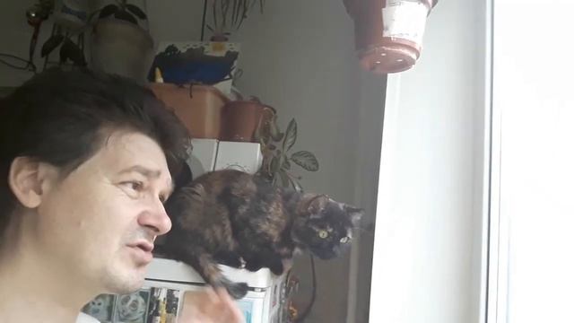 Да это не подмиг а нервный тик????? смотреть онлайн