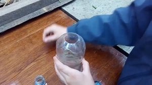 КАК СДЕЛАТЬ ЛОВУШКУ ДЛЯ ЯЩЕРИЦ