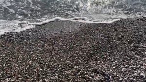 Sealife Family Resort 5* в Анталии. Обзор отеля и номера. Куча русских как в Сочи!