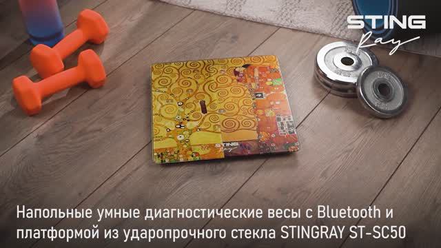 Напольные диагностические весы STINGRAY ST-SC5001A
