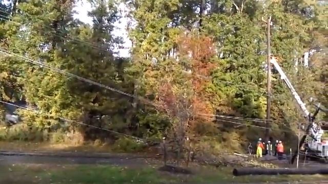 Power lines down on Little Neck Road смотреть онлайн