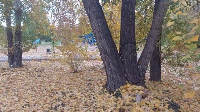 Все начинается с любви ? смотреть онлайн