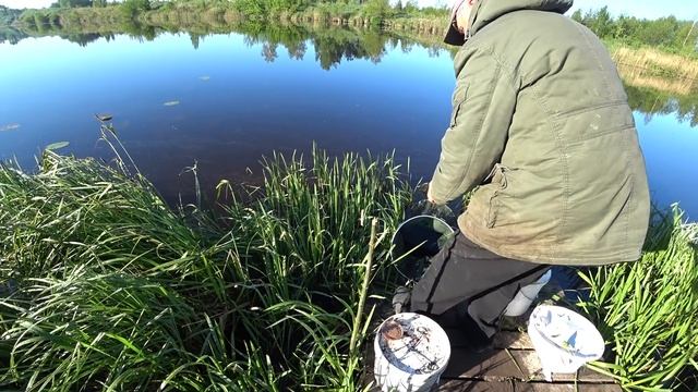 РЫБОЛОВНАЯ НАСАДКА САЛО. САМЫЙ УЛОВИСТЫЙ РЕЦЕПТ. Супер рыболовная насадка. Насадка на карася. Карп. смотреть онлайн