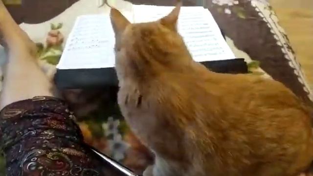 макс и флейта смотреть онлайн