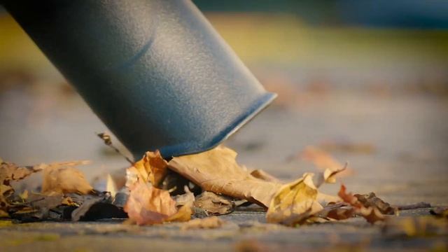 Bosch UniversalGardenTidy Laubsauger - Laubsauger im Test [KURZ & KOMPAKT] zusammengefasst смотреть онлайн