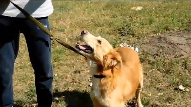 Кто же такой волонтер ? смотреть онлайн