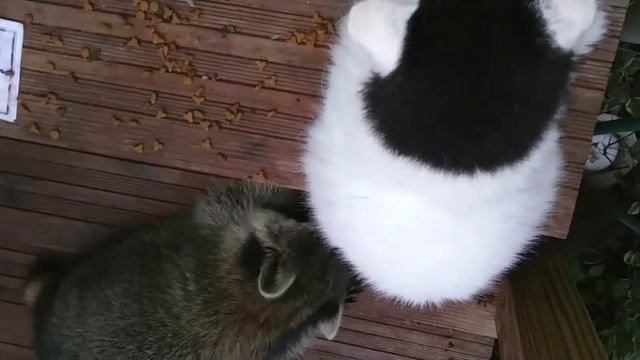 Не хлебом единым? смотреть онлайн