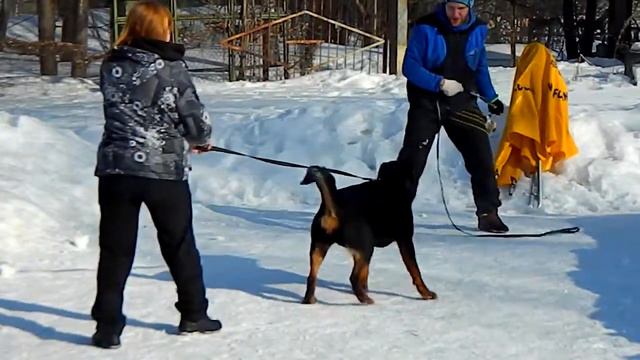 Principium Itta 10 мес. смотреть онлайн