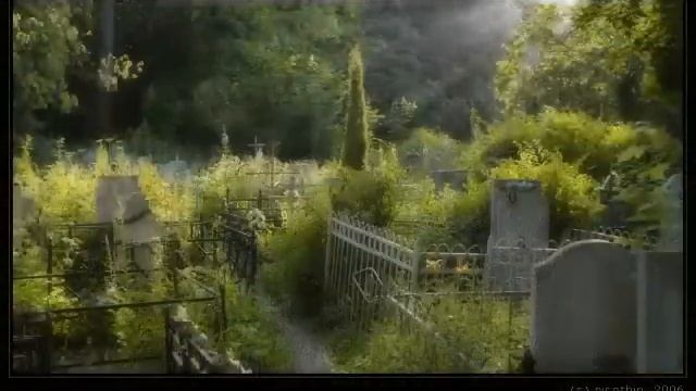 Стихи о природе смотреть онлайн