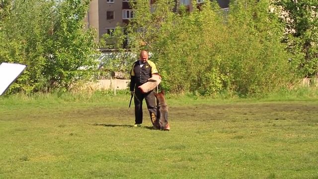 КЧК Уфа-18. РАБОЧИЕ СУКИ ОТЛ. 2 +++ АНТЕНОР ХОФ ФЕРРАРИ лоб смотреть онлайн
