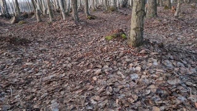 Тропа Паустовского. 29-30.04.2022 смотреть онлайн