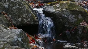 Лесной ручей. Звук ручья 10 часов, Шум ручья, Звуки природы. Шум воды. Пение птиц. Горный ручей.