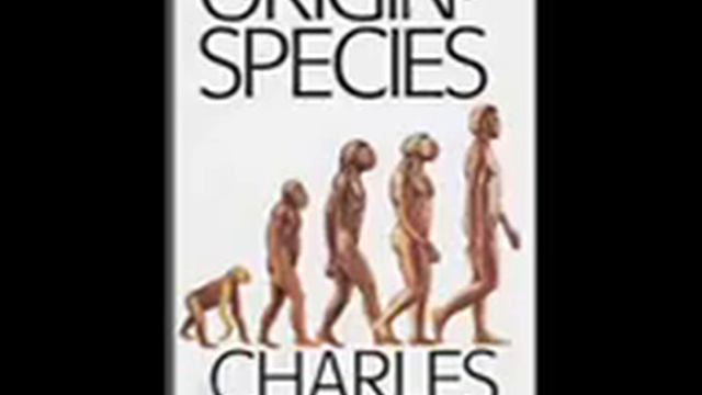 Origin Of Species - Part 3 смотреть онлайн