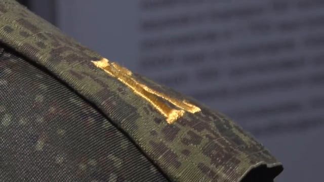Специализированный факультет ДонНУ Образовательный вектор смотреть онлайн