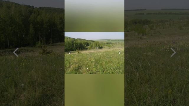 #рассказ #лесостепь #степь О лесостепи, степи. смотреть онлайн