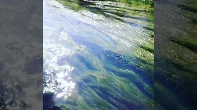 ПОЮЩИЕ В ТЕРНОВНИКЕ ...... 💝 👱 Наше время 😉 смотреть онлайн