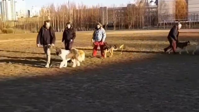 Занятия апрель 2019 смотреть онлайн