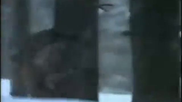 Волки смотреть онлайн