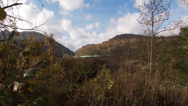 Осень в Кирпичном. Дончаки по СМЕ. Движение поездов во время ремонта Большого петлевого тоннеля смотреть онлайн