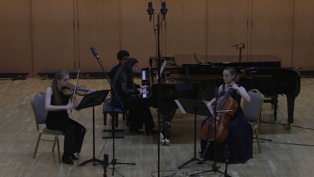 Иоганнес Брамс. Трио N3 до минор для скрипки, виолончели и фортепиано, ор. 101. смотреть онлайн