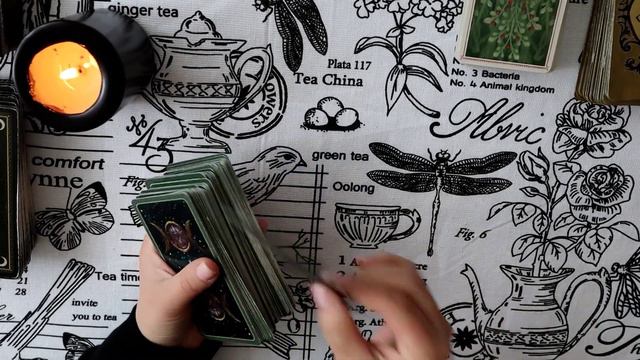 ТАРО ДЛЯ МУЖЧИН 1 вариант Новые отношения на горизонте. #тародлямужчин #тароотношения