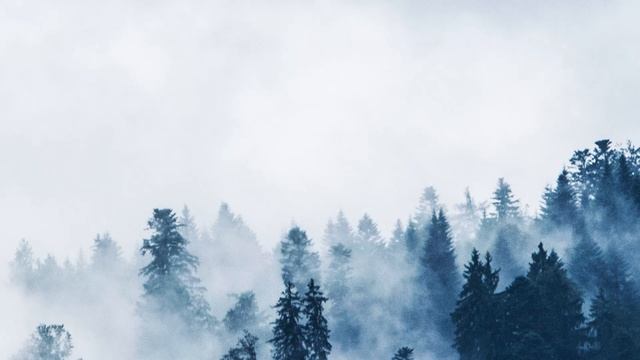 Better Life Humans Win/Лучшая жизнь Люди побеждают