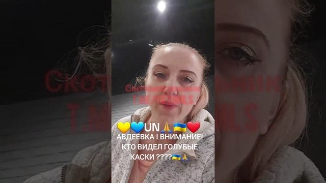 А кто же видел голубые каски в Авдеевке? смотреть онлайн