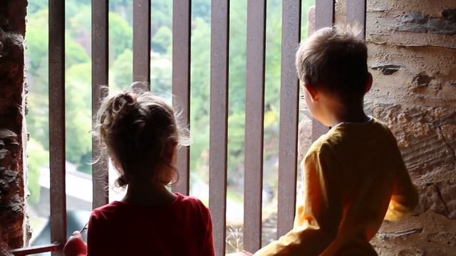 Эш сюр Сюр (2015)