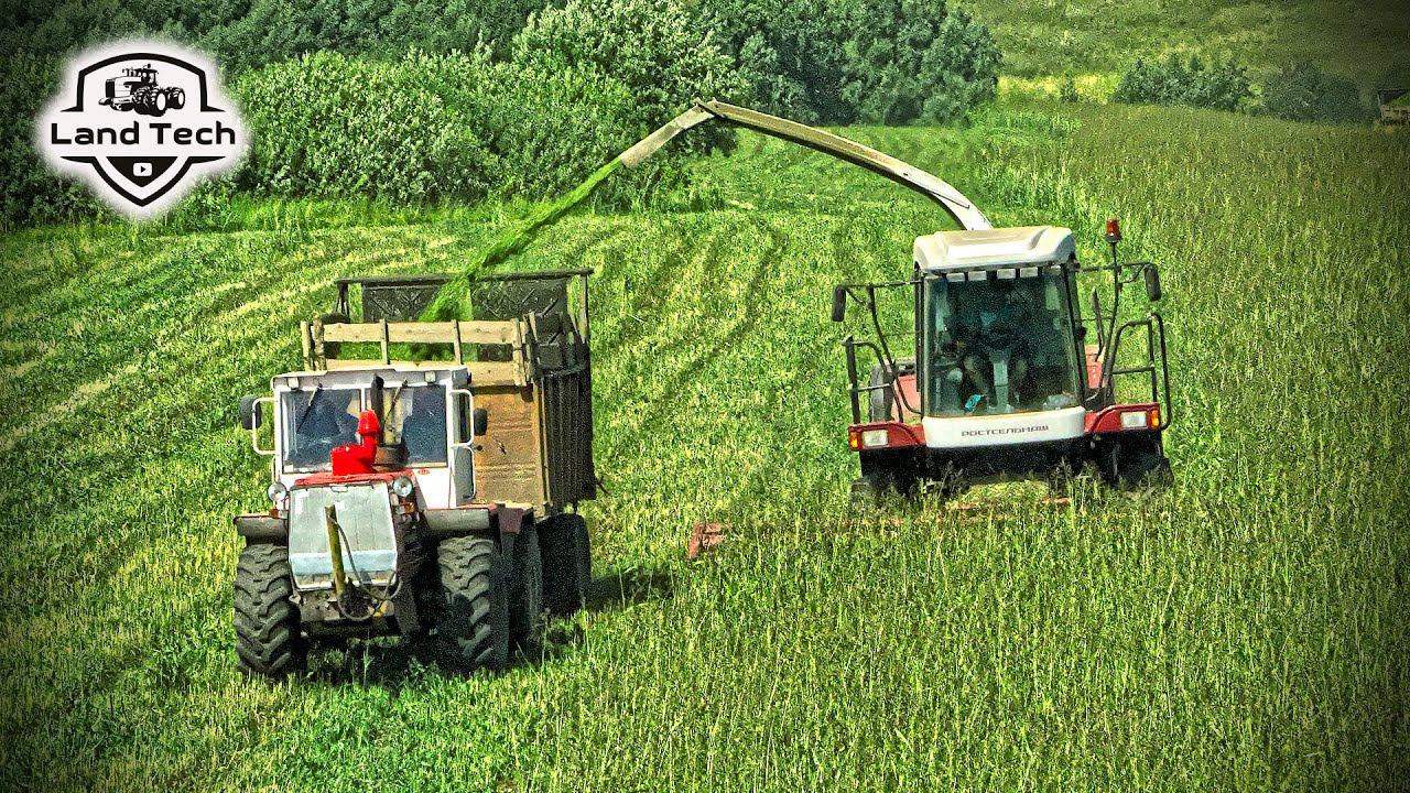 Комбайны ДОН-680М, тракторы Т-150К и МТЗ-82 - заготовка силоса из Суданской травы! смотреть онлайн