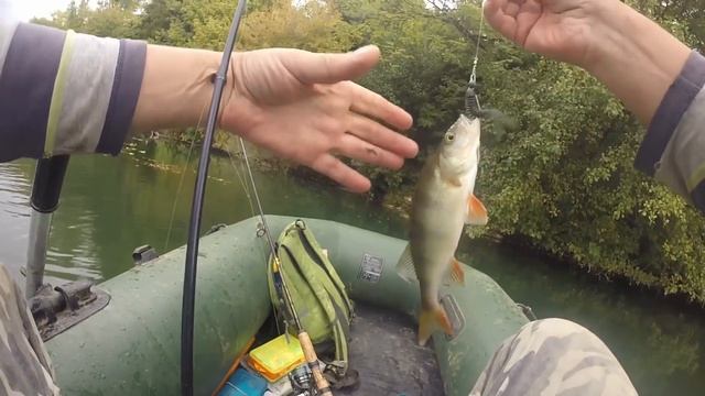 Ловля окуня на силиконовые раки. Один крючок - 2 рыбы!!! смотреть онлайн