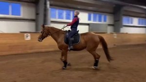 ПОСАДКА НА УЧЕБНОЙ РЫСИ