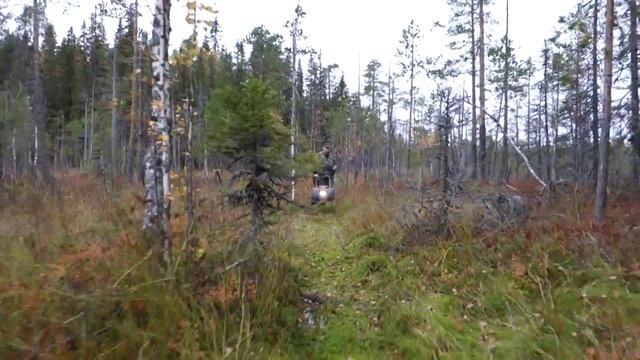 Партизан по сырому болоту -1 смотреть онлайн