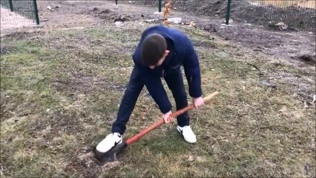 «Посади дерево — вырасти добро» смотреть онлайн
