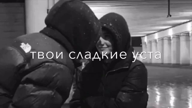 Адам душа моей души текст смотреть онлайн